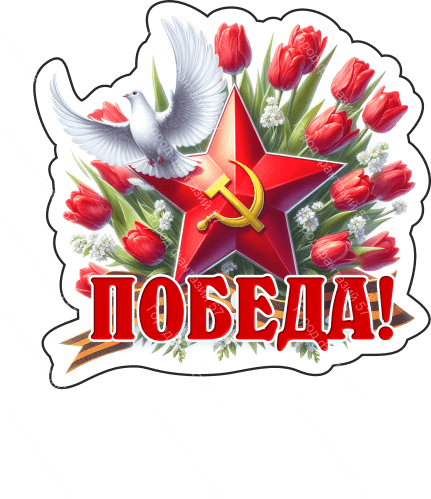 9 мая голубь 18