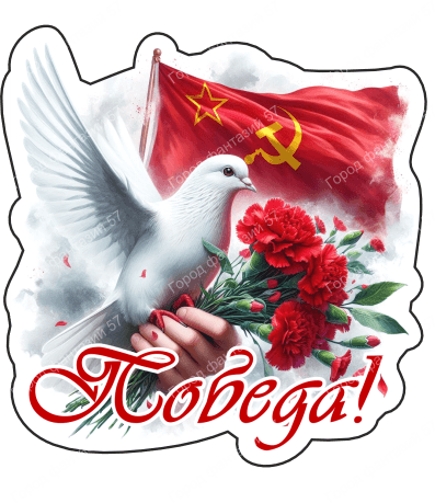 9 мая голубь 16