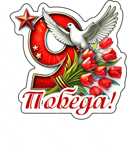 9 мая голубь 33