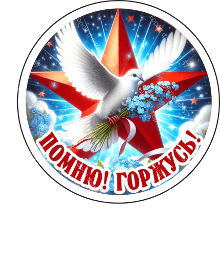 9 мая круг 17