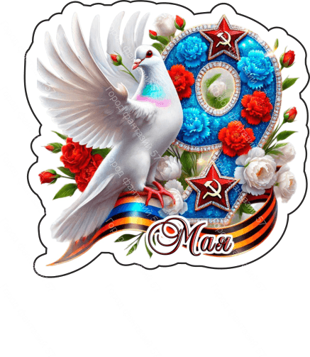 9 мая голубь 24