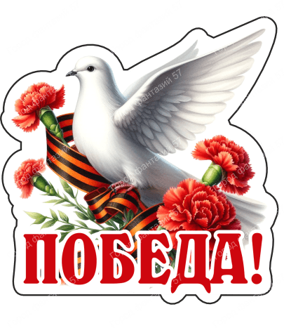 9 мая голубь 20