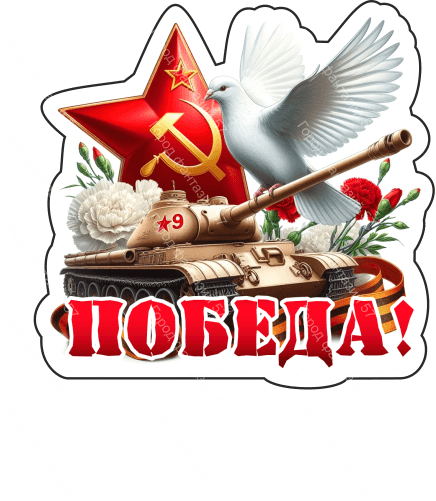 9 мая голубь 17