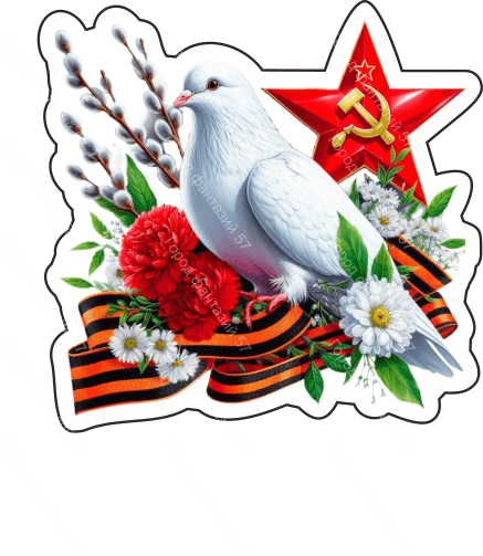 9 мая голубь 37