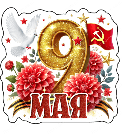 9 мая голубь 27