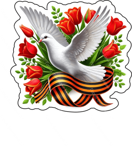 9 мая голубь 48