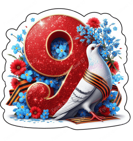 9 мая голубь 63