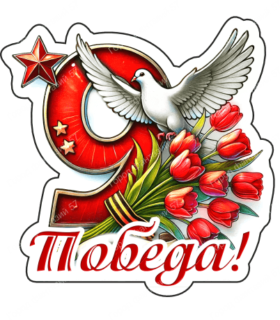 9 мая голубь 33