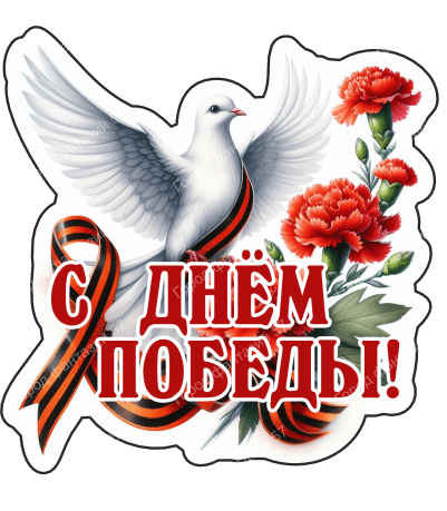 9 мая голубь 15