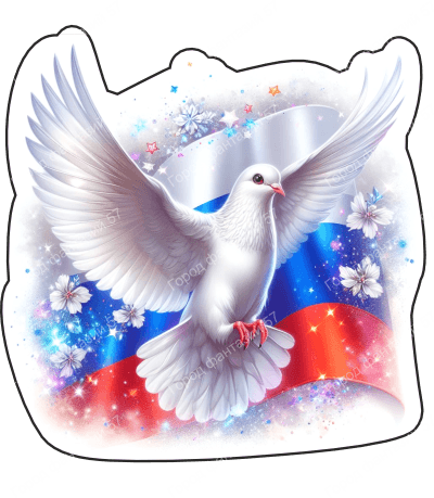 Голубь россия 6