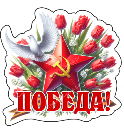 9 мая голубь 18