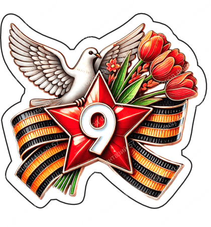 9 мая голубь 39
