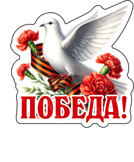 9 мая голубь 20