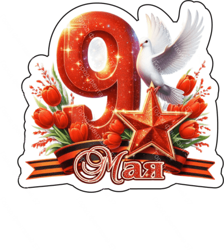 9 мая голубь 28