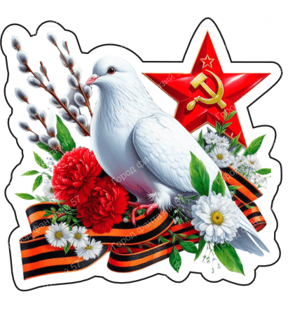 9 мая голубь 37