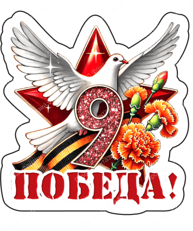 9 мая голубь 59