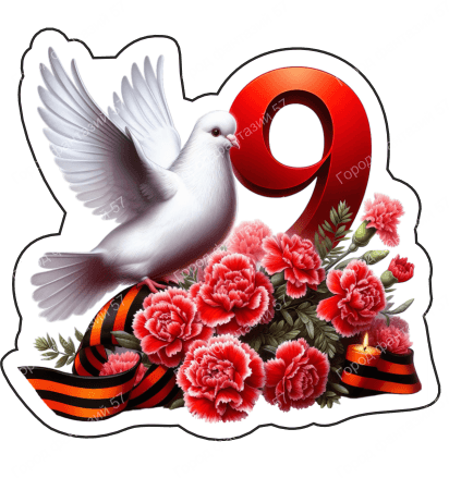 9 мая голубь 13