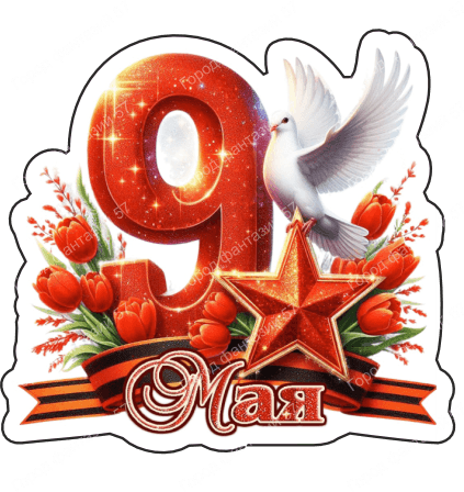 9 мая голубь 28