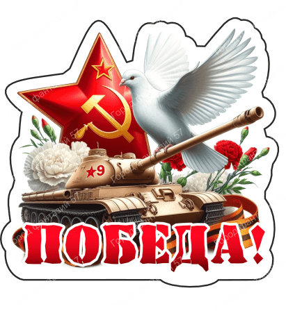 9 мая голубь 17