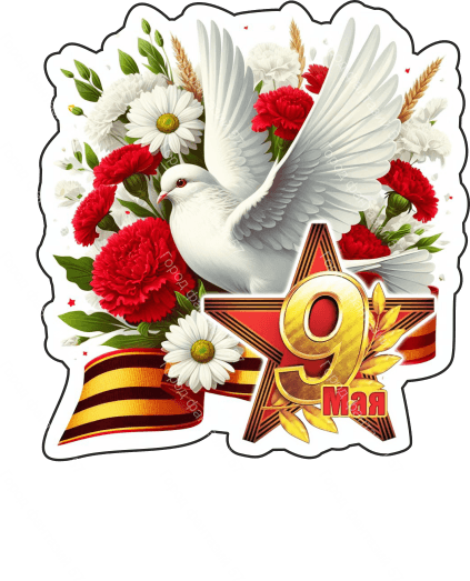 9 мая голубь 2